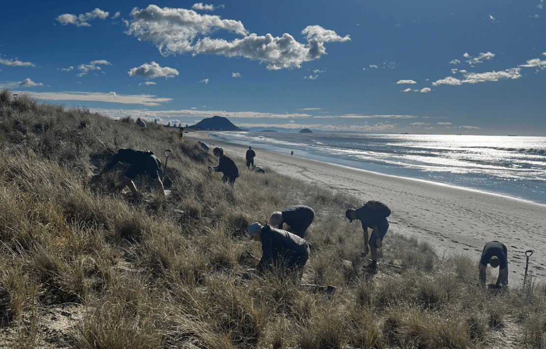 Pāpāmoa Beach Conservation