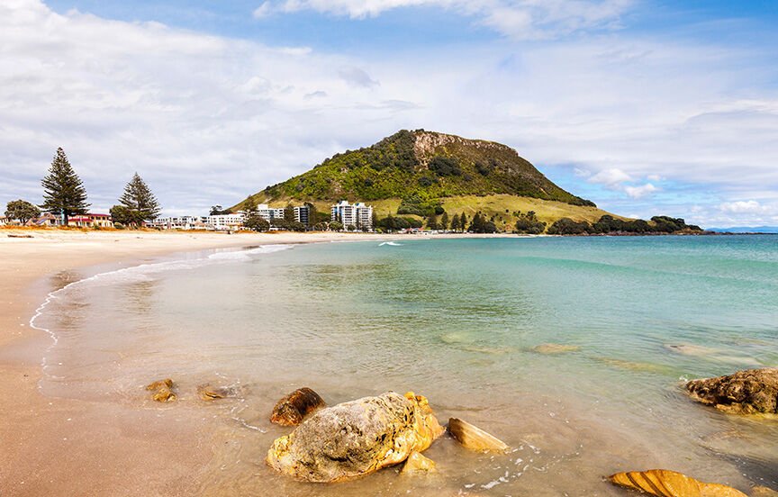 Top 5 Scenic Walks for Active Retirees in Papamoa and Mount Maunganui